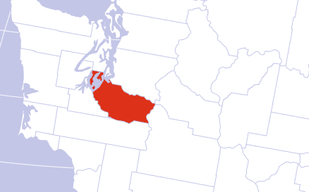 Pierce County Cannabis Overview